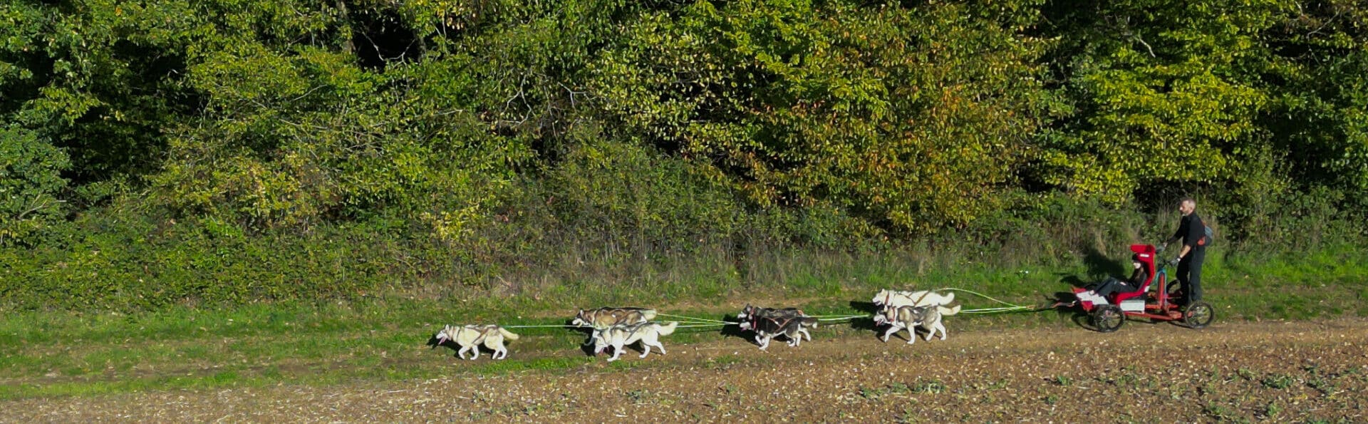 Canimoov La cani randonnée