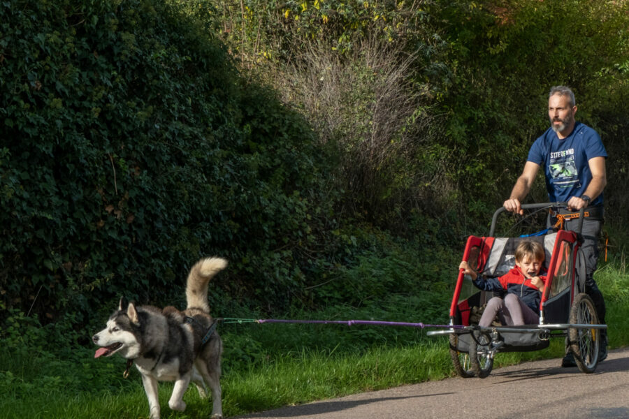 sulki en cani randonnée