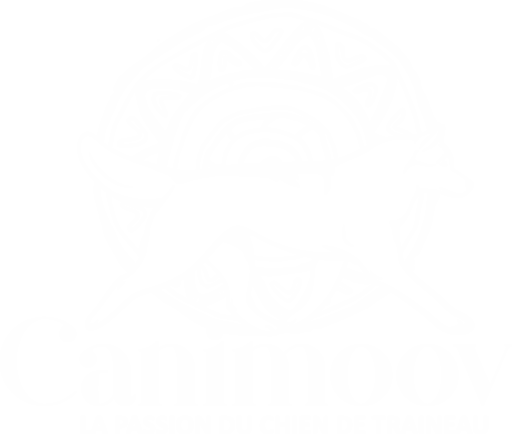 Canimoov Dans l'Yonne, découvrez la cani-randonnée