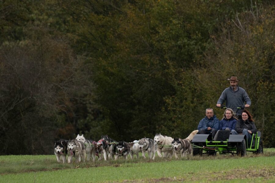 Cani kart en famille