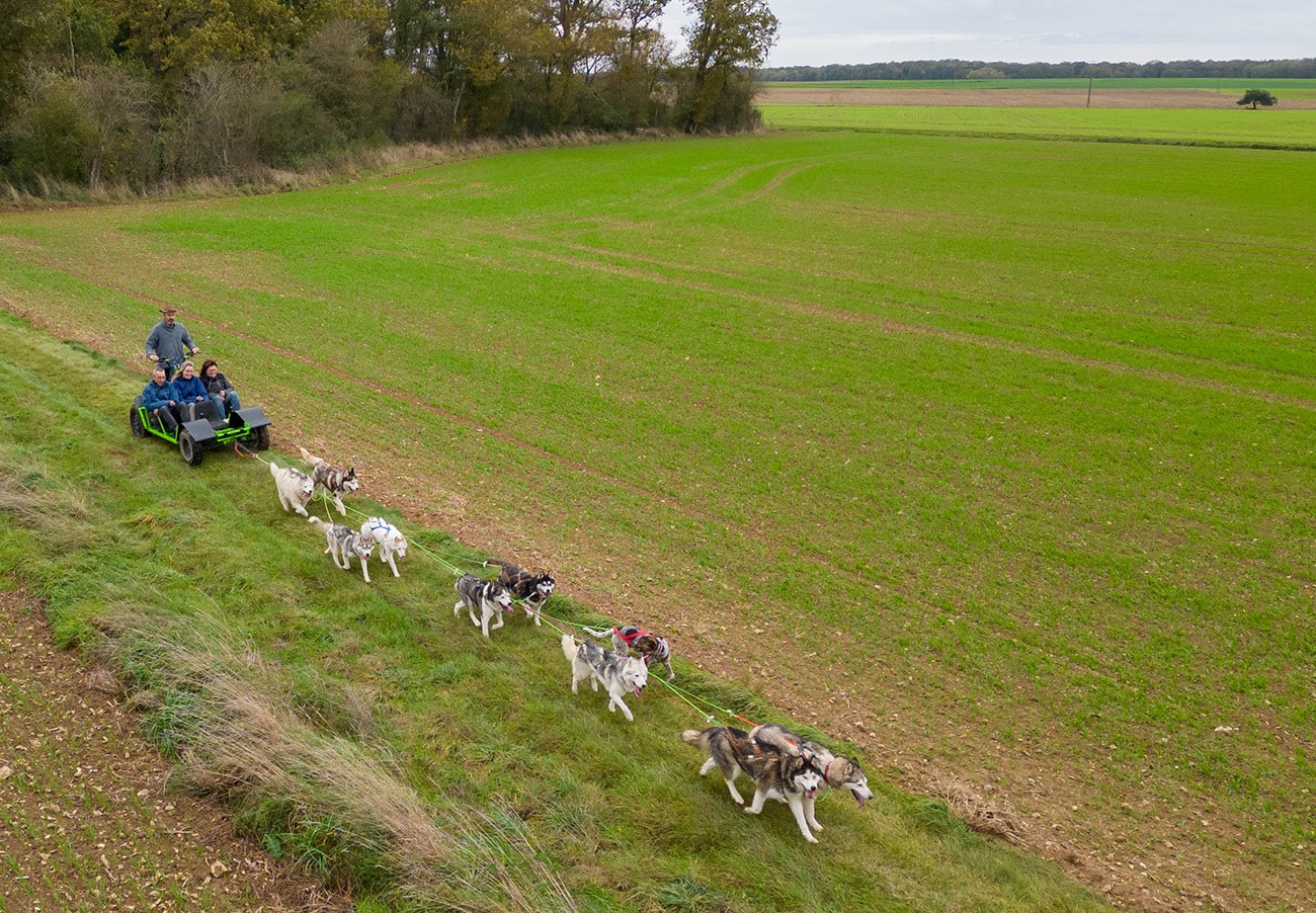 Attelage de chiens Canimoov tirant un cani-kart dans l'Yonne